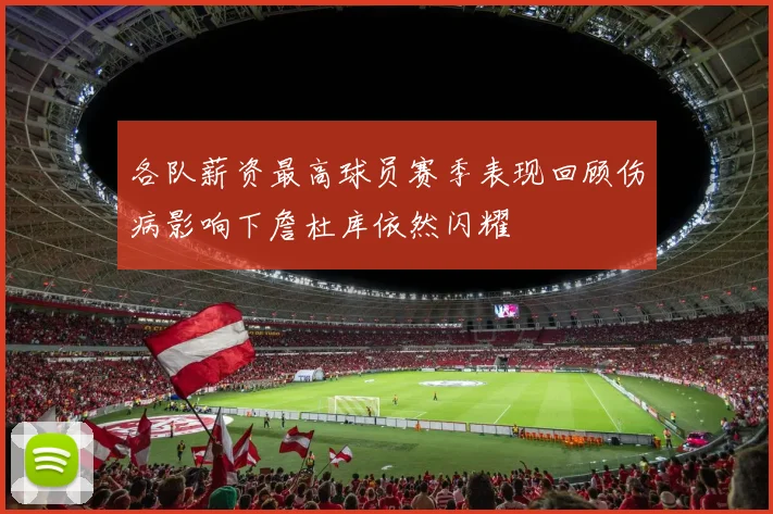 各队薪资最高球员赛季表现回顾伤病影响下詹杜库依然闪耀