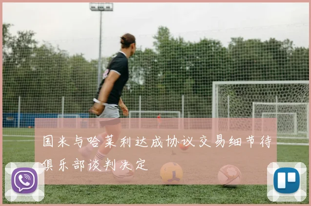 国米与哈莱利达成协议交易细节待俱乐部谈判决定
