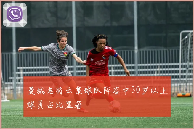 曼城老将云集球队阵容中30岁以上球员占比显著