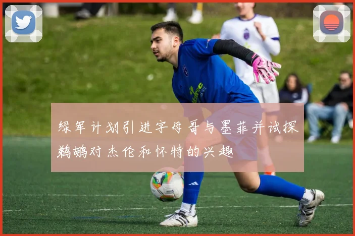 绿军计划引进字母哥与墨菲并试探鹈鹕对杰伦和怀特的兴趣